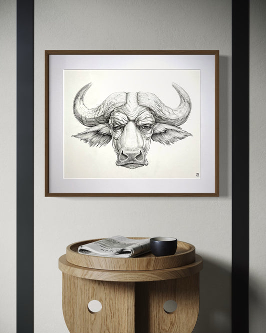 Cape Buffalo