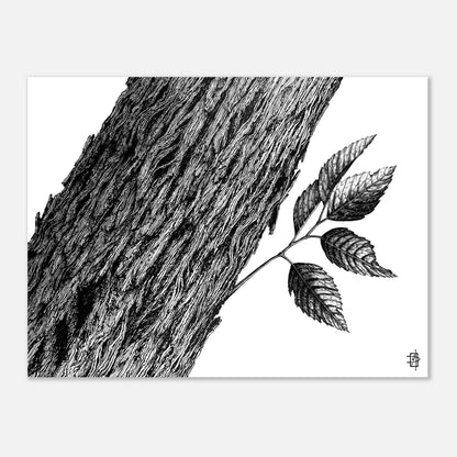 609a99b7-515c-4963-8af2-45a557c30ce0