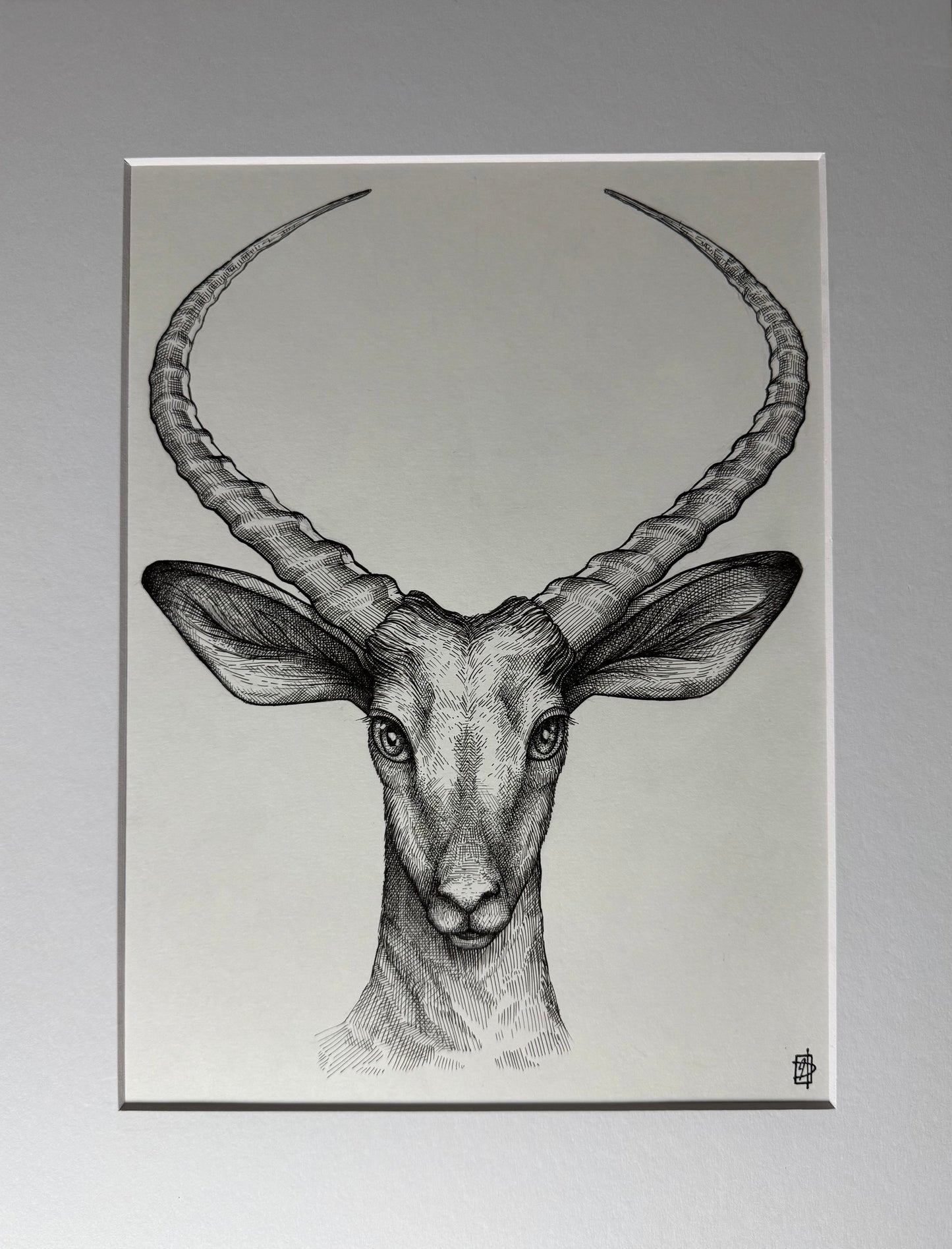Impala